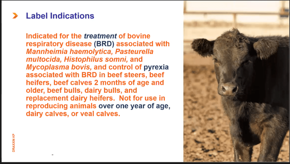 Label Update Addresses Pyrexia In Beef And Dairy Cattle Drovers